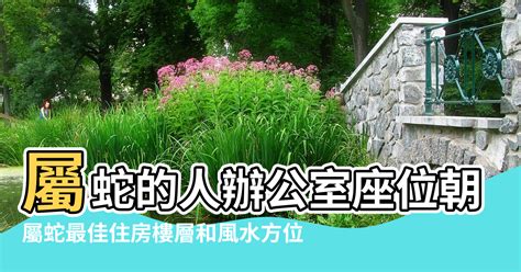 屬蛇樓層|屬蛇最佳住房樓層和風水方位【屬蛇最佳住房樓層和風。